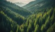 © JohnTheArtist - Expansive pine forest landscape stretching into mountains