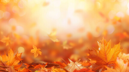maple leaves in autumn colors. beautiful fall colors, defocused image, bokeh background.