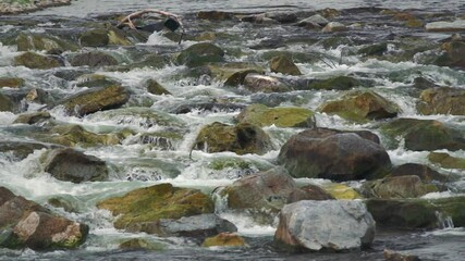 Wall Mural - River flowing over rocks cascade on sunny day, closeup detail slow motion