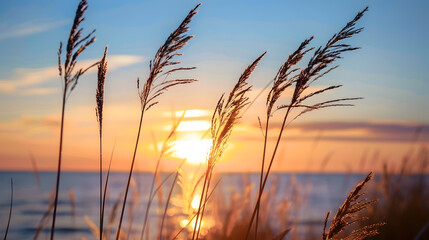 Aufkleber - Wild grasses on the sea coast at sunset Macro image shallow depth of field Beautiful autumn nature background : Generative AI