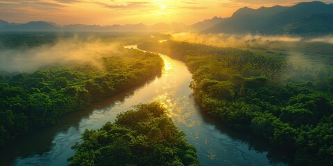 Wall Mural - Sunrise Over a River Winding Through Lush Green Foliage