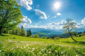 Wall Mural - Idyllic alpine landscape on a sunny day with blooming springtime meadows in the alps