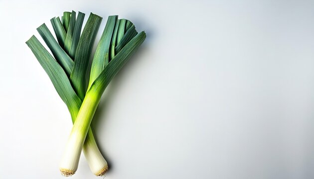 leek is a vegetable, a cultivar of Allium ampeloprasum. The edible part of the plant is a bundle of leaf sheaths. Asian cooking vegetable food and broth concept.  Isolated on white background