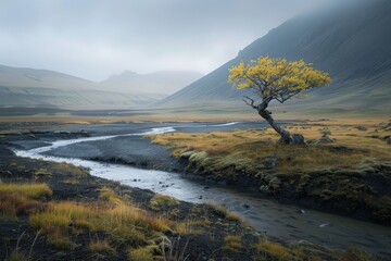 Wall Mural - Solitary Tree by a Winding River in a Misty Mountain Landscape