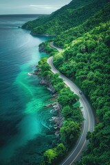 Wall Mural - Serpentine Coastal Road Through Lush Green Forest