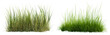 © Chadys - long grass bushes isolated on transparent or white background, 3d rendering