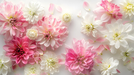 Wall Mural - Pink and white flowers border design over the white : Generative AI