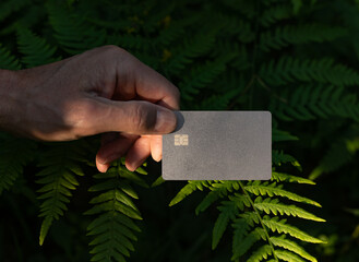 Wall Mural - . Blank bank debit card mockup in male hand in nature, green plants, fern leaf.