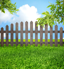 Wall Mural - Wooden fence, trees and green grass outdoors