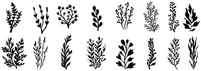 Wall Mural - Set of bohemian style plants, branches, twigs. Collection of botanical black home wall art decor boho elements isolated on white background.  Herbs and plants collection. Vector illustration.