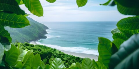 Canvas Print - View of the ocean from a hill with lush green vegetation in Bahia. Concept Bahia, Ocean View, Lush Vegetation, Hilltop, Scenic Beauty