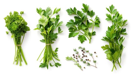 Wall Mural - Fresh parsley and other herbs arranged on a clean white surface, great for food and drink photography