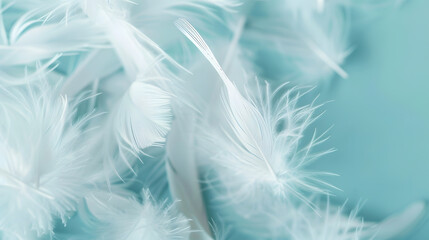 Poster - White fluffy feathers on pale teal blue background  Fashion Color Trends Spring Summer 2016  soft focus : Generative AI