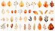 © Eleanor Richards - A diverse collection of autumn leaves in different shapes and colors, providing a vibrant and detailed study of nature's beauty during the fall season, perfect for decoration.