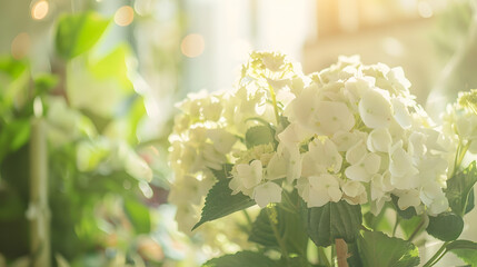 interior flower shop white hydrangea with green foliage  close up soft focus wedding flowers : Generative AI