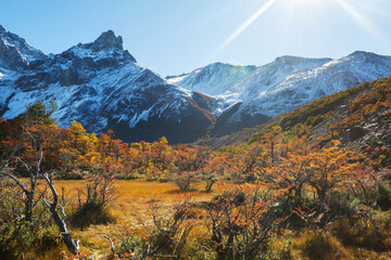 Wall Mural - Autumn in mountains