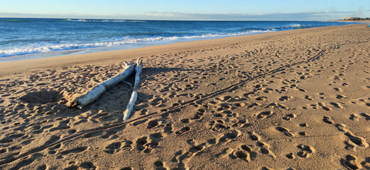 sea coast beach with waves