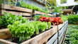 © Panida - A flourishing urban garden with raised planter beds filled with a vibrant array of vegetables herbs and leafy greens  This sustainable farming setup demonstrates the potential for growing fresh