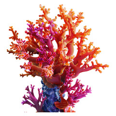 Wall Mural - Front view, blue background, orange and red coral