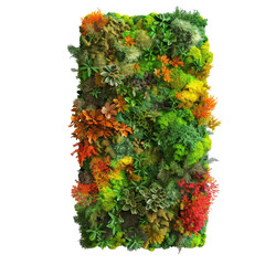 Wall Mural - large moss wall art with bun moss, colorful lichen, flat moss or fern moss on a plain