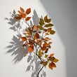 © 석태 김 - Abstract natural tree leaves shadow on white wall background