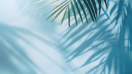 Aufkleber - Blurred shadow from palm leaves on the light blue wall Minimal abstract background for product presentation Spring and summer : Generative AI