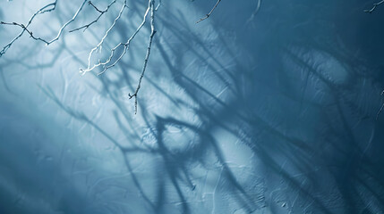 Poster - Minimalistic abstract gentle light blue background for product presentation with light and intricate shadow from tree branches on wall : Generative AI