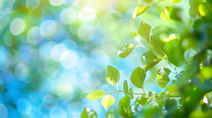 Poster - Summer background of blue and green blurred foilage and sky with bright bokeh Blurry abstract summer background Natural green leaves using as cover page greenery environment ecology ba : Generative AI