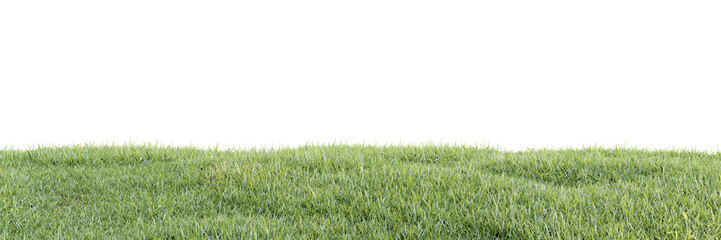 Wall Mural - Green grass on transparent background 3d rendering