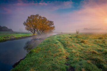 Sticker - Grassland on the shore of Strypa river. Foggy autumn sunrise in Ukrainian countryside. Fantastic morning scene of Ternopil outskirts, Ukraine, Europe. Beauty of countryside concept background.