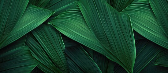 Wall Mural - Green palm leaves featuring intricate patterns, fan-shaped, and a vibrant green hue with a light texture, suitable for copy space image.