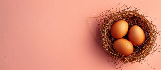 Leinwandbilder - Two brown chicken eggs in a nest on a pastel background. with copy space image. Place for adding text or design
