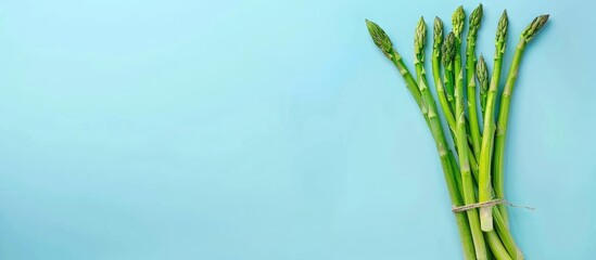Poster - Bunch of fresh asparagus Isolated on pastel background. with copy space image. Place for adding text or design