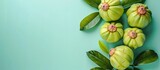 Garcinia Cambogia Isolated on pastel background Garcinia. with copy space image. Place for adding text or design