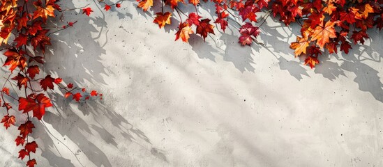 Poster - Autumn background with shadow of the maple tree leaves on a wall. Abstract Autumnal scene. with copy space image. Place for adding text or design