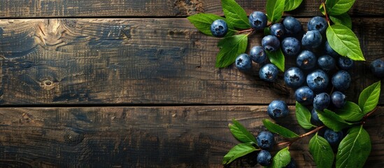 Aufkleber - Blueberries with blueberry leaves on a old wooden table. with copy space image. Place for adding text or design
