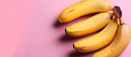 Wall Mural - Bright yellow bananas on a pink background pastel background. with copy space image. Place for adding text or design