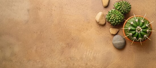 Canvas Print - Top view green cactus and stone on sand pastel background. Copy space image. Place for adding text and design