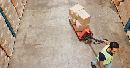 Poster - Man, engineer and walking with boxes above in warehouse for supply chain or distribution. Top view of contractor or employee pulling package, cargo or parcel on pallet jacket for inventory or storage