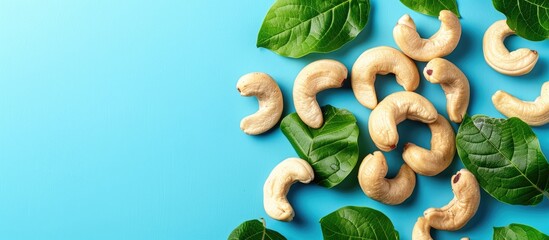 cashew nuts with leaves Isolated on pastel background with copy space for your text. top view. Flat lay