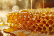 © Steven - Close-up of honeycomb dripping with golden honey, a sweet and natural treat, rich in flavor and nutrients