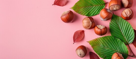Canvas Print - Hazelnuts with leaves isolated on a pastel background. Copy space image. Place for adding text and design