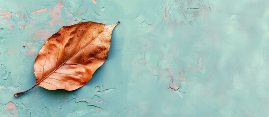 Wall Mural - Single dried leaf on pastel background  Texture  Isolated. Copy space image. Place for adding text and design