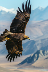 Wall Mural - Golden eagle soaring over mountainous landscape