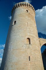 Wall Mural - the tower of the castle