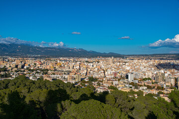 Wall Mural - view of the city