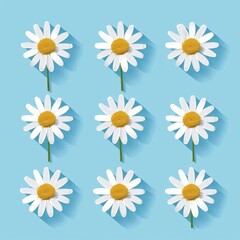 Wall Mural - A set of Camomile icons. White daisy chamomile. Hand drawn round abstractions. Growing concept. Love card symbols. Valentine's Day. Flat design. Green background isolated. Modern illustration.