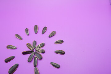 Wall Mural - a collection of sunflower seeds isolated on a purple background. Sunflower seeds are used as snacks.