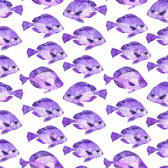 Wall Mural - Watercolor seamless pattern with many purple swimming fish on white background.