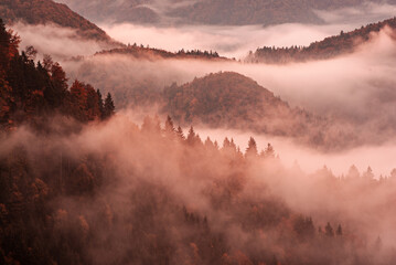 Wall Mural - misty mountain landscape